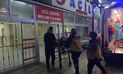 Kozan'da hafif ticari araç kanala düştü