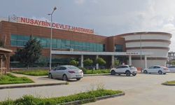 Nusaybin'de Acı Olay: 6 Kişilik Aile Yok Oldu