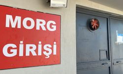 Şanlıurfa'da başını ağaca çarpıp traktörden düşen çiftçi öldü