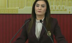 'Savaş ve Barış Meselelerinde Meclis Seyirci Bırakılmamalı'