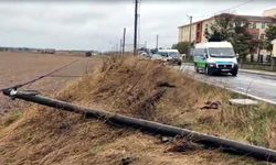 Tekirdağ'da Ağaçlar ve Direkler Devrildi