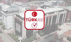 ELEKTRİK ENERJİSİ VE DOĞALGAZ SATIN ALINACAKTIR
