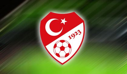 A Milli Takım'da 3 isim kadrodan çıkarıldı