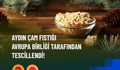 Aydın Çam Fıstığına AB'den onay