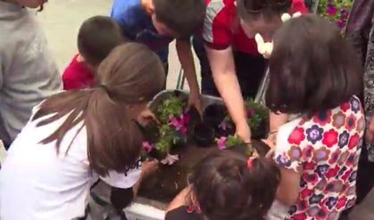 Beypazarı baharın renkleriyle buluştu