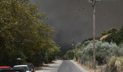 Yunanistan’da Orman Yangını Alarmı