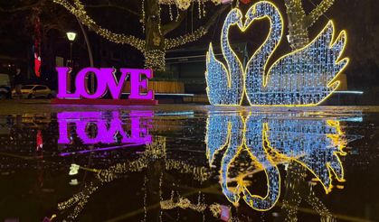 Kuğulu Park, 14 Şubat'a hazırlandı