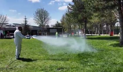 Çankaya Belediyesi Yaz Öncesi Önlemini Aldı