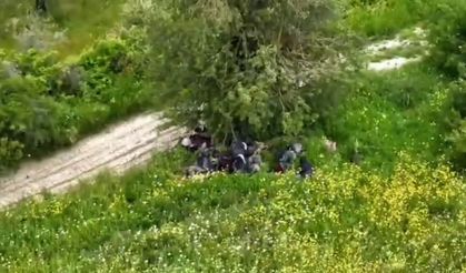 Hatay'da 42 düzensiz göçmen yakalandı