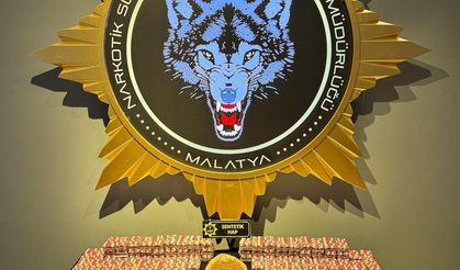 Malatya'da 'torbacı'lara operasyon