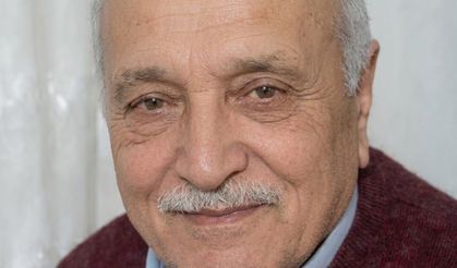 Ordu'da otomobil fındık bahçesine girdi: 1 ölü