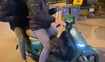 Sokak köpeği motosiklete binip gitti