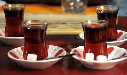 CHP’li Gürer’den Yaş Çay Fiyatına Sert Tepki: “35 Lira Üreticiyi Hüsrana Uğrattı”