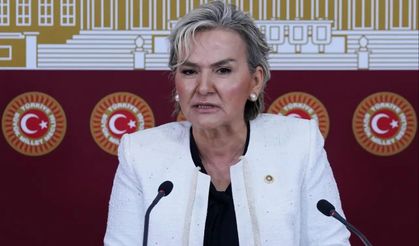CHP'de istifalar art arda geliyor: Nimet Özdemir istifa etti