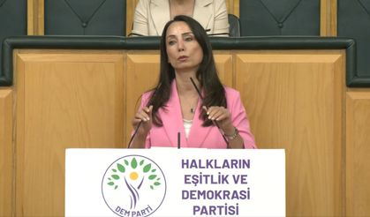 DEM Parti'li Hatimoğulları'dan çerçeve yasa hatırlatması