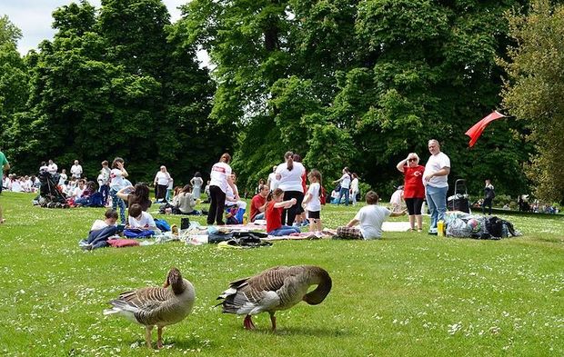 Ankara'da Nerede Piknik Yapılır? Ankara'nın 10 Piknik Yeri