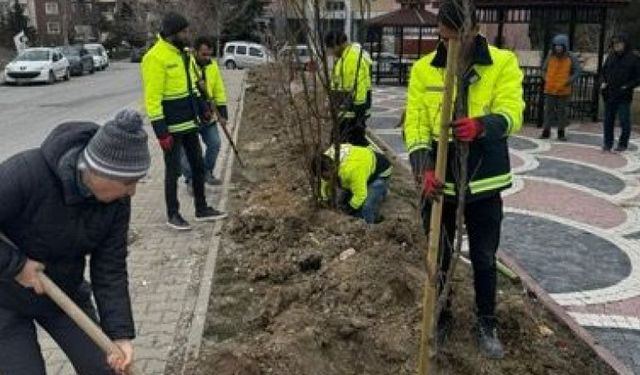 Etimesgut Belediyesi’nden doğa etkinliği