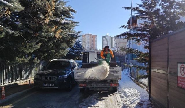 Çankaya Belediyesi'nden tuzlama çalışması