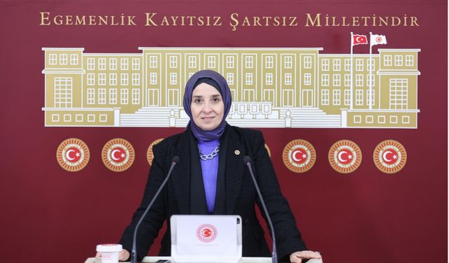 'Gençlerle, genç polisleri karşı karşıya getiren sistem güvensizlik üretir'