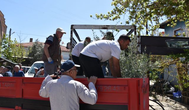Nallıhan Belediyesi'nden çiftçiye destek