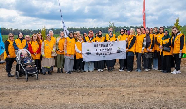 TÜRGEV son 5 yılda 16 bin 117 adet fidan dikti