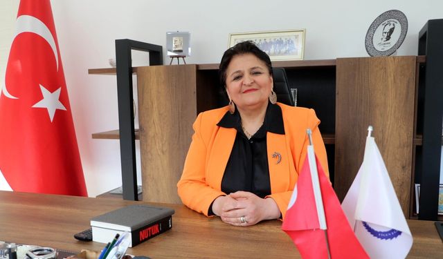 Ankara'dan Hakkari'ye yardım eli