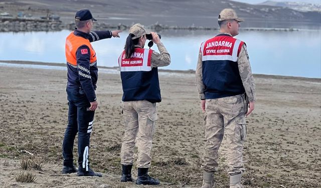Jandarma, 'inci kefali' denetimine çıktı
