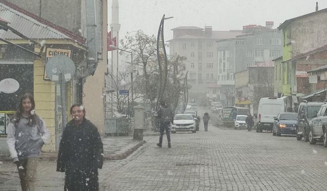 Karlıova’da kar yağışı başladı