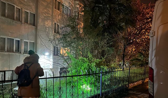 Kayıp ‘Badem’i bulana ödül altın