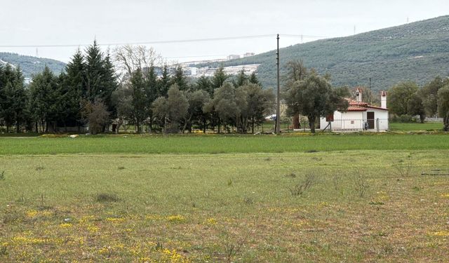 Muğla'da tuhaf yayla