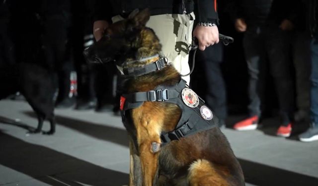 'Narkokapan-Ankara' operasyonunda 138 şüpheli tutuklandı