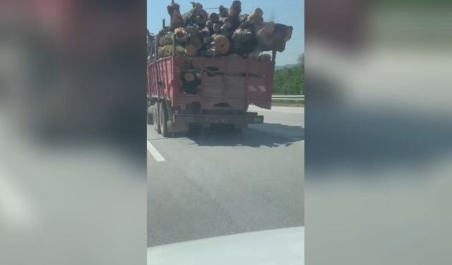 Tomruk yüklü kamyon, sürücüleri tedirgin etti