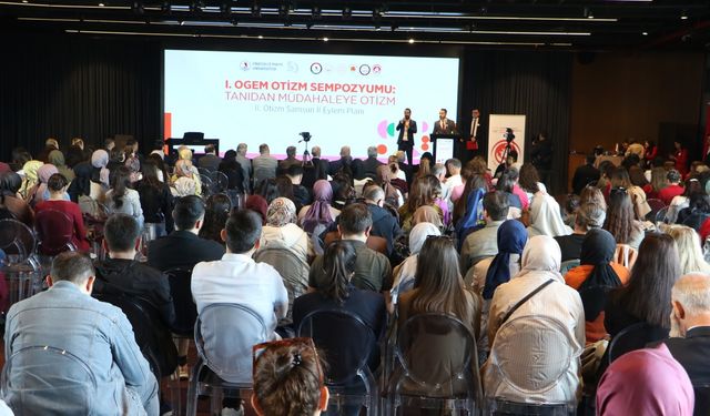 Türkiye'de 2 milyon otizmli birey olabilir