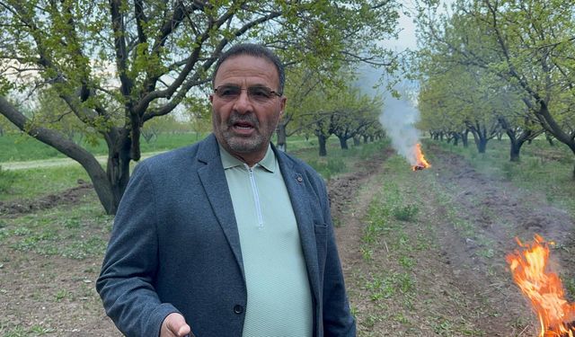 Zirai dona karşı 'bahçede ateş' önlemi aldılar