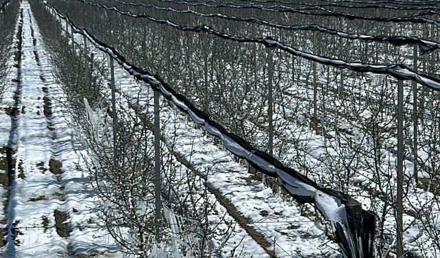 'Zirai don'a karşı 'Spring' sistemi