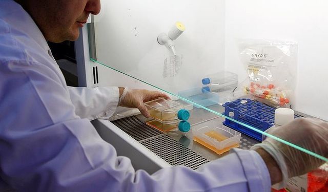 Prostat kanseri erkekleri tehdit ediyor