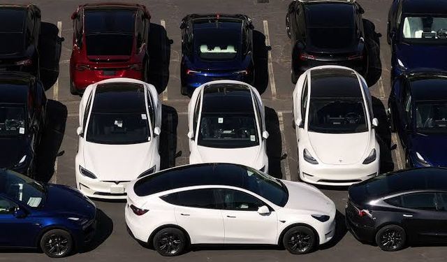 Tesla’ya Toplu Dava