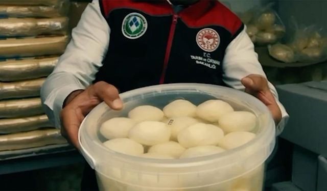 Ankara'da Süt Ürünleri İçin Denetim