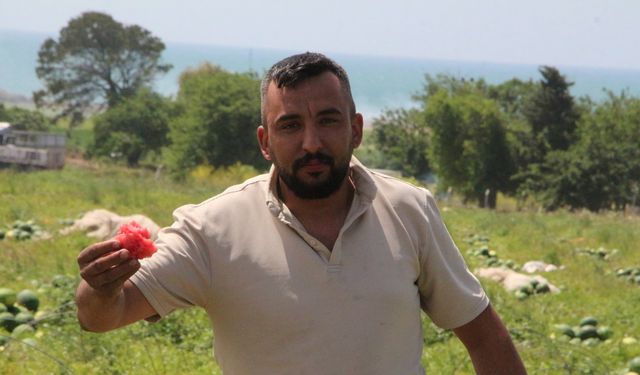 Adana’da karpuz hasadı başladı