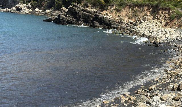 Amasra'da kirlilik alarmı