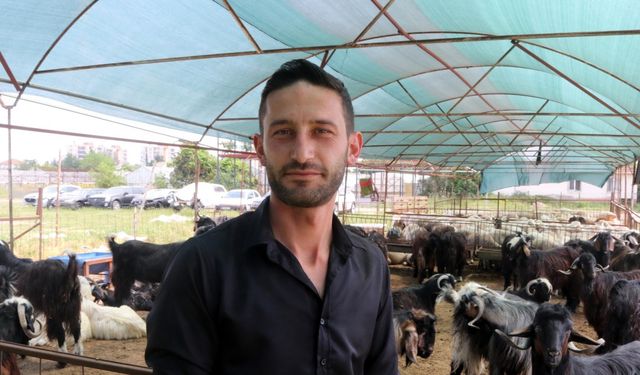Antalya'da kurban pazarları hareketkedi