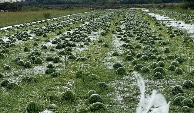 Antalya'da Tarım Dolu Vurdu