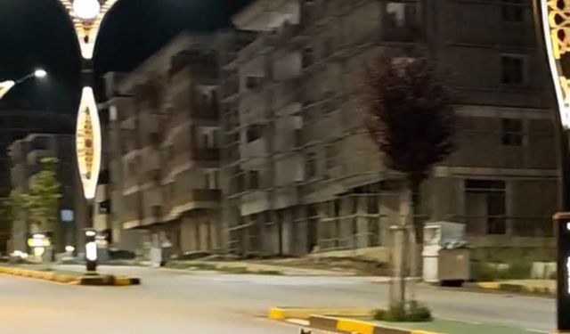 Başına poşet takılan çakal kurtarıldı