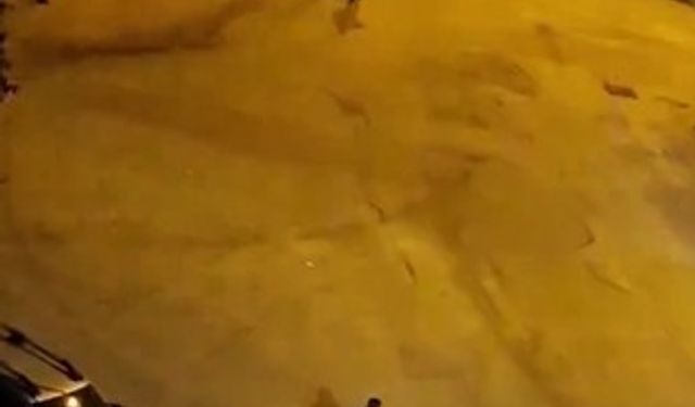Elazığ'da pompalı tüfekli saldırı