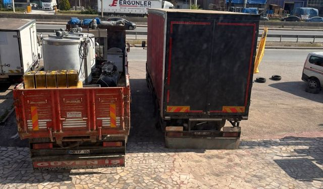 Haciz işleminde kraliçe arılara el konuldu