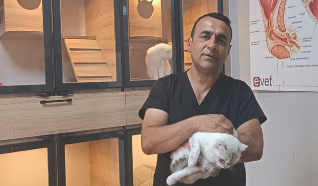 Hayvanların Şifacısı ve Umut Elçisi: Veteriner Hekimin Dokunuşu