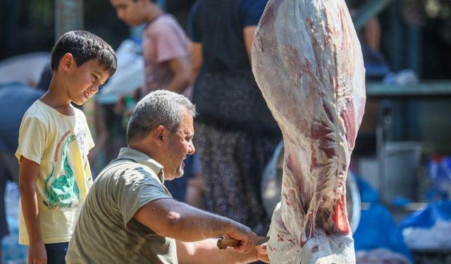Kurban Bayramı yaklaşırken 'salmonella bakterisi'ne dikkat