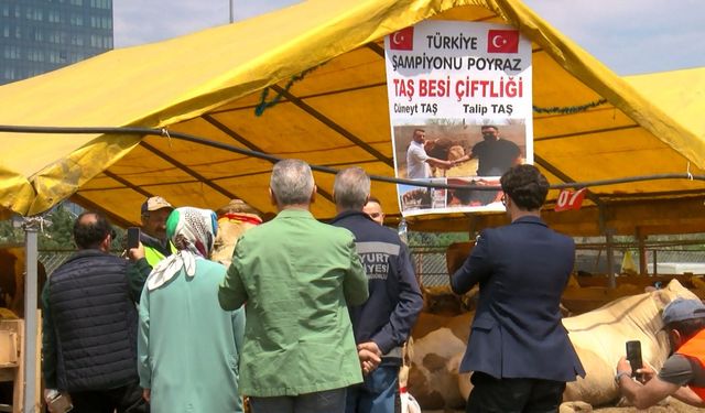 'Poyraz'ı Cumhurbaşkanı'na Hediye Edeceğim'