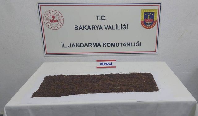 Sakarya'da uyuşturucu operasyonu