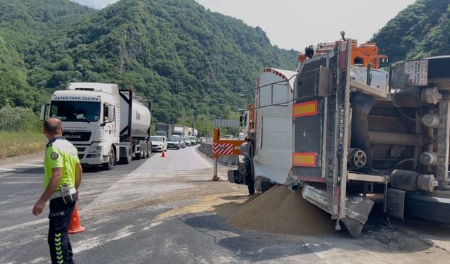 Sakarya'da yem yüklü TIR devrildi